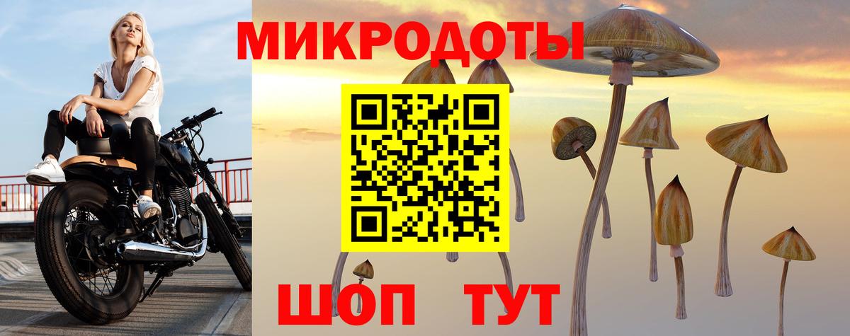 Галлюциногенные грибы Cubensis  Вход с VPN  Новозыбков 