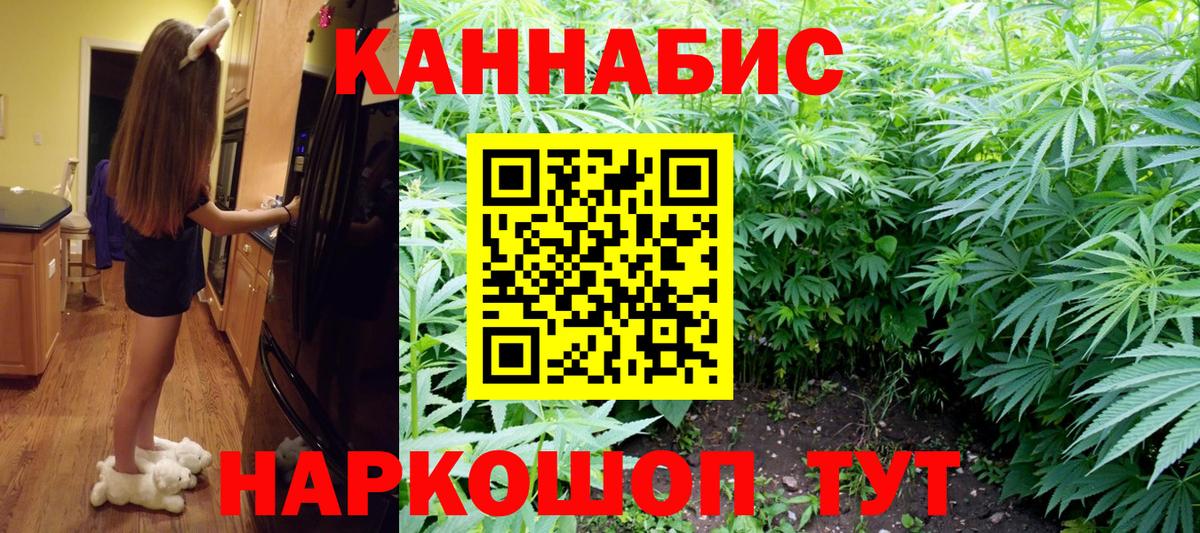 Новозыбков  Бошки Шишки OG Kush  Вход с VPN  Бошки Шишки ГИДРОПОН 